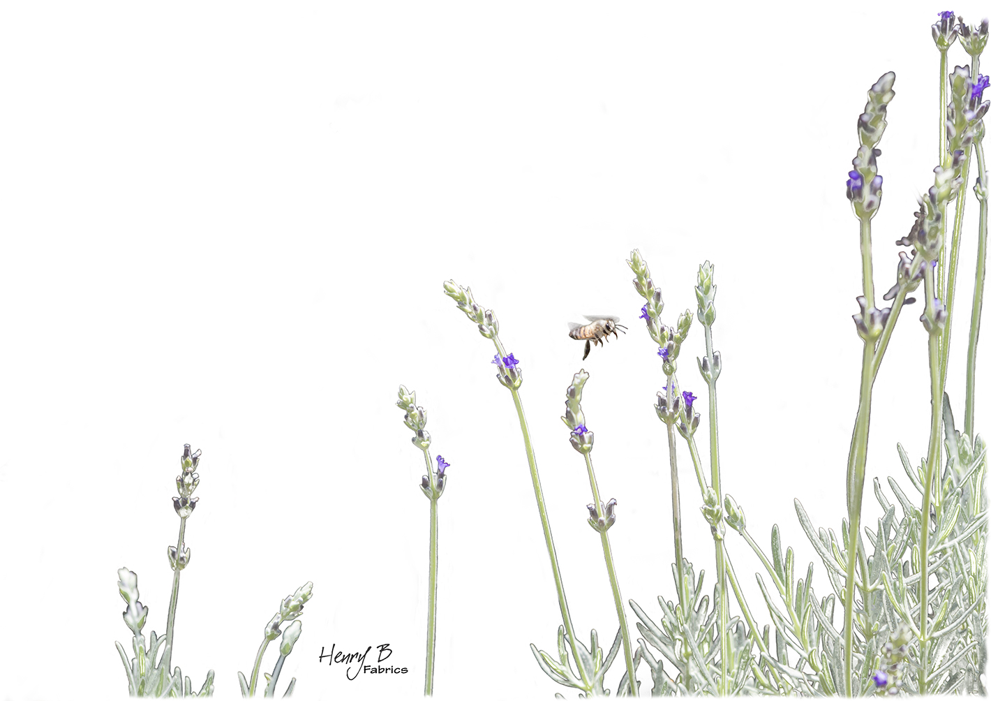 lavender-placemat-2